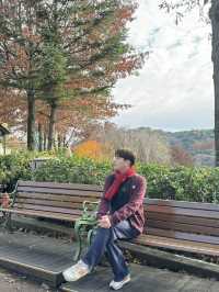 Everland Fall Magic🍁  