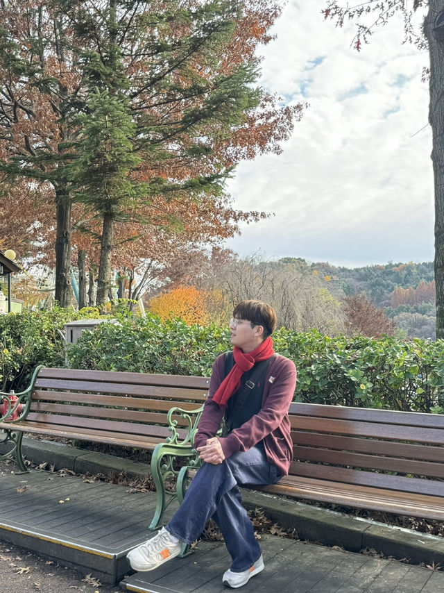 Everland Fall Magic🍁  