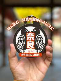 【奈良市】学問の神様も歌を詠んだ紅葉名所『手向山八幡宮』