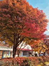 Historical Immersion and Unhurried Atmosphere