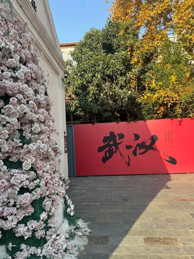 🇨🇳 武漢~「曇」花一現嗎?🌸🌺🌷 🇨🇳 武漢~「曇」花一現嗎?🌸🌺🌷