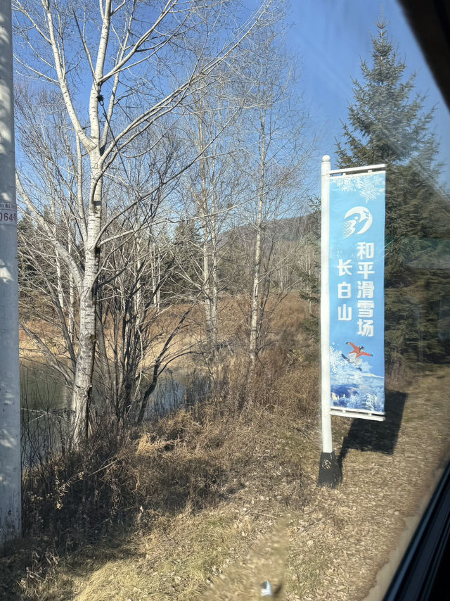 A Dreamy First-Time Ski Experience at Changbai Mountain🎿 A Dreamy First-Time Ski Experience at Changbai Mountain🎿