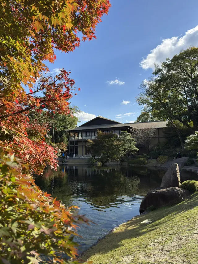 在名古屋欣賞紅葉的庭園