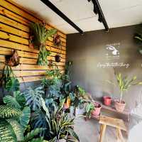 Cozy Festive Moments at Paradise Of Deer