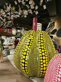 The Ultimate 24-Hour Library Vibes at BookXcess Sunway Square 📚✨