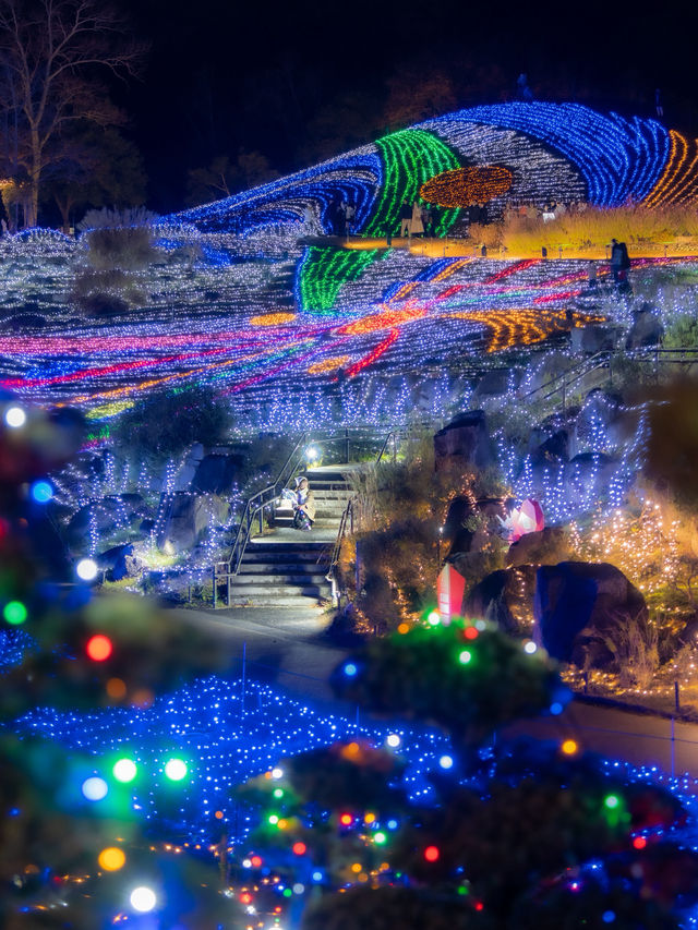 え？四国最大級のイルミネーションがたったの450円？！！まんのう公園のイルミネーション2025