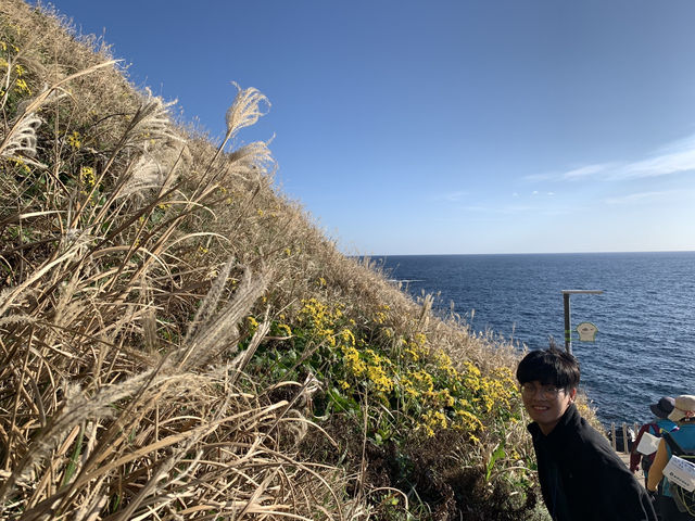 Seaside Christmas🎄 Seaside Christmas🎄