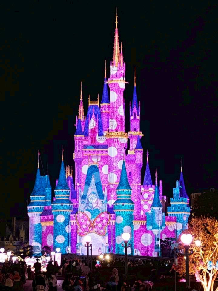 日本での無課金チャレンジ！東京ディズニーランドを全速で満喫