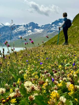 Chasing Stunning Views on the Ibex Trail: Grande Dixence Dam Adventure 🏔️📸
