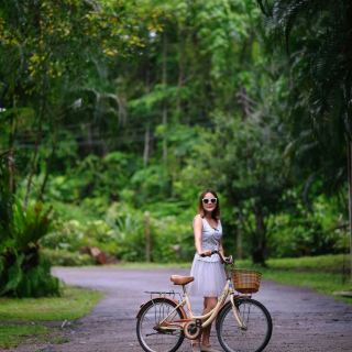 A Nature Retreat Amidst Lush Green Woods by a Crystal-Clear Stream.
