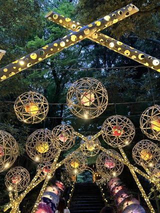 被夢幻的螢火蟲與花香療癒的夜晚花日和