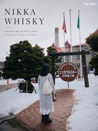 ทำไมสายวิสกี้ต้องปลื้ม?

ที่นี่คือ "บ้านเกิด" ของ Nikka Whisky ก่อตั้งโดย Masataka Taketsuru ผู้ที่ไปเรียนการทำวิสกี้ที่สกอตแลนด์แล้วกลับมาสร้างวิสกี้ญี่ปุ่นในฝันของตัวเองที่เมืองโยอิจิ เพราะสภาพอากาศคล้ายสกอตแลนด์มาก

จุดเด่นสุดคือยังใช้ การกลั่นด้วยเตาถ่านหิน 
(Coal-fired Distillation) ซึ่งปัจจุบันแทบไม่มีใครใช้แล้ว ทำให้ Yoichi มีคาแรกเตอร์หนักแน่น ควันบาง ๆ 
และรสเข้มกว่าวิสกี้ญี่ปุ่นหลายแบรนด์

ไฮไลต์ที่ไม่ควรพลาด

1. จอง Distillery Tour ล่วงหน้า “ฟรี”
ใช้เวลาประมาณ 60 นาที
เดินชมกระบวนการผลิตจริง
จบท้ายด้วยการชิมวิสกี้ฟรีหลายตัว

2. Tasting Hall

หลังจบทัวร์จะมีชิมวิสกี้ให้
สำหรับสายจริงจัง แนะนำต่อที่ Tasting Bar ในพิพิธภัณฑ์ ซึ่งมีวิสกี้หายากและรุ่นพิเศษให้ลองแบบเสียเงินเพิ่ม

3. Nikka Museum

ได้เห็นประวัติ Nikka และชีวิตของ Taketsuru แบบละเอียด มีของสะสมเก่า ๆ ที่แฟนวิสกี้ชอบมาก

4. ร้านขายของ Distillery Only

ของที่ทำให้สายดื่มตาลุกวาวคือ
     รุ่น Exclusive ของ Yoichi
     รุ่นที่หาซื้อยากนอกญี่ปุ่น
     Mini Bottle สำหรับสะสม

นักดื่มใน Reddit หลายคนบอกว่าร้านนี้เป็นจุดที่ "กระเป๋าเงินสั่นที่สุด" เพราะมีของเฉพาะโรงกลั่นและบางตัวราคาดีกว่าซื้อในต่างประเทศมาก

สูตรเที่ยวสำหรับสายดื่ม

ออกจากซัปโปโรเช้า

JR จาก Sapporo → Yoichi ประมาณ 1 ชั่วโมงกว่า
จองรอบทัวร์ 10:00–11:00 (ชิมฟรี)
ไป Tasting Bar ต่อ
กินมื้อกลางวันที่ Rita's Kitchen
ช้อปวิสกี้ก่อนกลับซัปโปโร

เที่ยวสบาย ๆ ครึ่งวันถึง 1 วันเต็มได้เลย

คะแนนจากมุมมองนักดื่ม
ด้าน	                           คะแนน
บรรยากาศ	             ⭐⭐⭐⭐⭐
ประวัติศาสตร์วิสกี้	⭐⭐⭐⭐⭐
การชิม                 	⭐⭐⭐⭐⭐
ของฝากสายวิสกี้  	⭐⭐⭐⭐⭐
ความคุ้มค่า	             ⭐⭐⭐⭐⭐