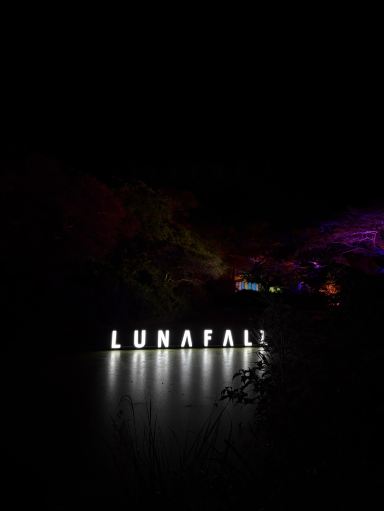 🌙✨ A Magical Night Walk in Jeju — Lunafall | Trip.com Seogwipo
