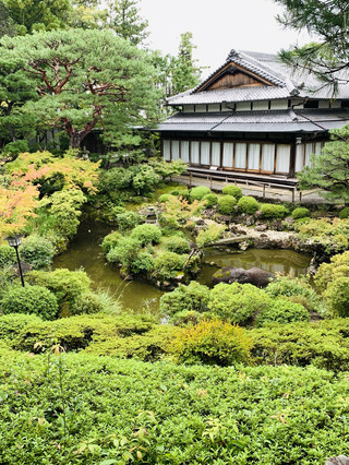鮮為人知的免費花園
