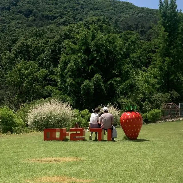 서울 근교 율봄 식물원에서 각종 체험을 🍓