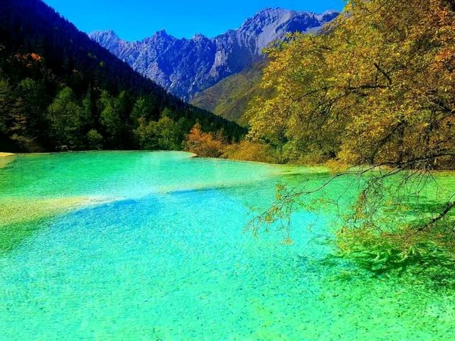 Vibrant Natural Pools: Huanglong 🇨🇳
