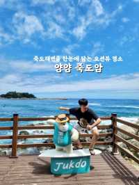 양양의 푸른 바다가 한눈에 펼쳐지는 곳💙