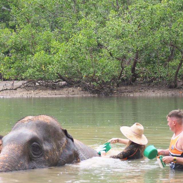 Elephant Sanctuary in Krabi’s - a must do!