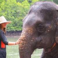 Elephant Sanctuary in Krabi’s - a must do!