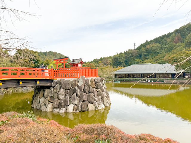 🌸 大阪必訪景點：勝尾寺！🎍