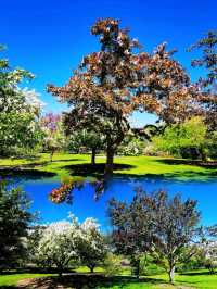 Longenecker horticultural Gardene(朗格內克園藝花園)