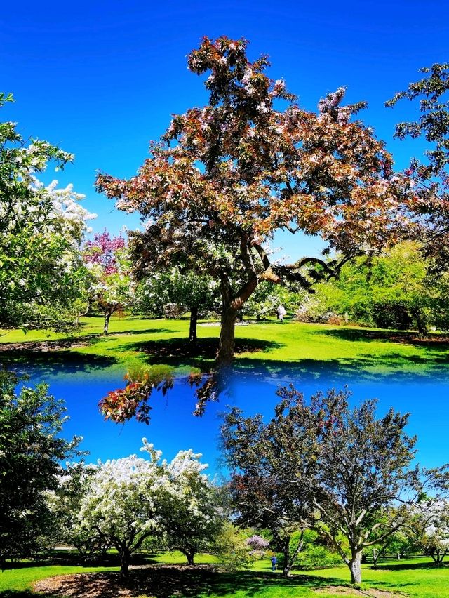 Longenecker horticultural Gardene(朗格內克園藝花園)