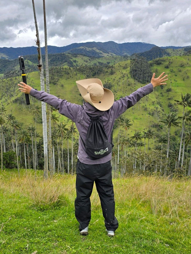 🌟走進《魔法滿屋》的一天｜La Carbonera & Cocora Valley 棕櫚樹仙境攻略 🇨🇴