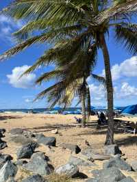 Tropical Dreamscape🌴