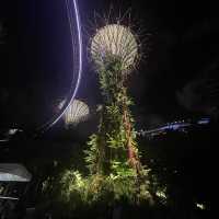 superTrees and night show at Singapore
