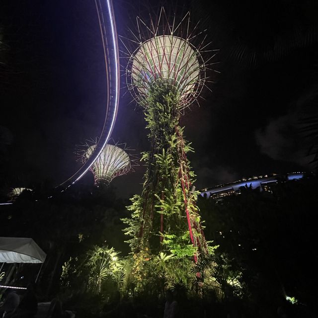 superTrees and night show at Singapore