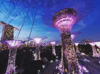 去新加坡最不能錯過- 打卡Garden By The Bay