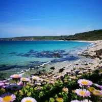 Cornwall: Coastal Wonders & Cultural Charm