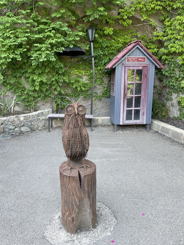 【ジョージア🇬🇪/自然豊かな巨大な植物園 】