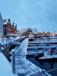 Tranquil Tromsø 🌌