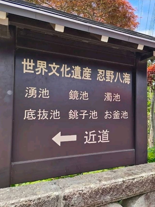 🌸忍野八海🌸環境優美的小村莊🌸