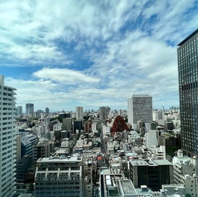 🌸東京芝賽萊斯廷酒店🌸可以散步到東京鐵塔