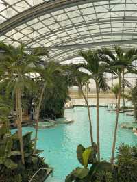 Therme Bucharest water park 🗺️