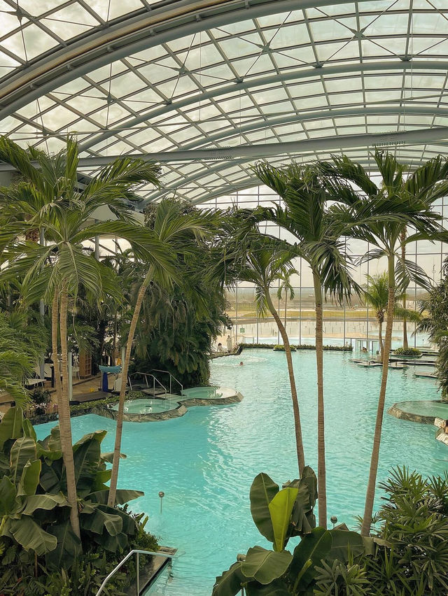 Therme Bucharest water park 🗺️