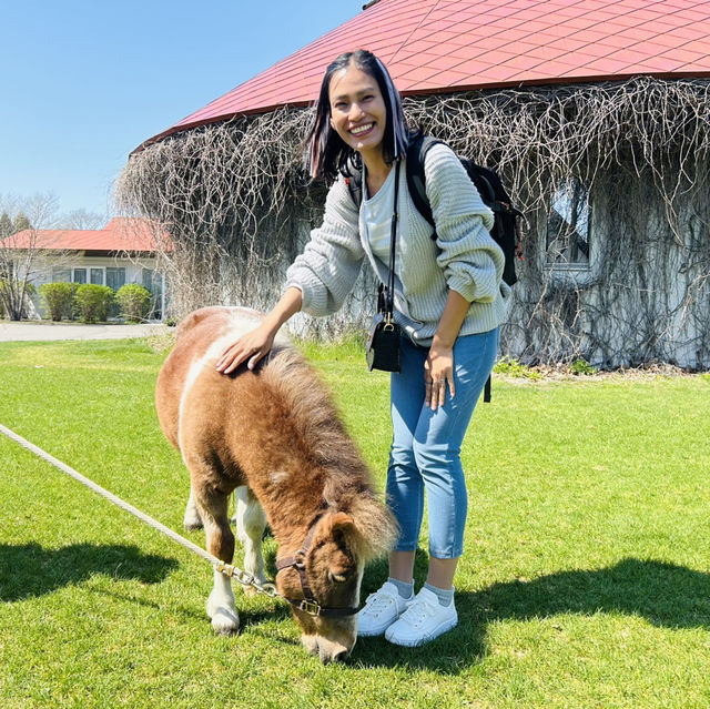 Horse riding park in Hokkaido 🇯🇵 