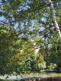 Autumn in Vrana Park 🌳