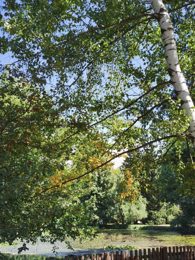 Autumn in Vrana Park 🌳