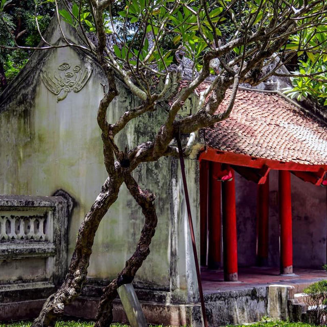 Temple of literature Hanoi 