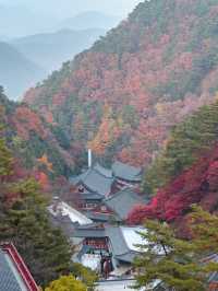 충북 단양 구인사 🍁