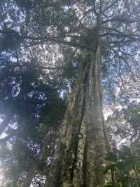 Chinnar Wildlife Sanctuary 