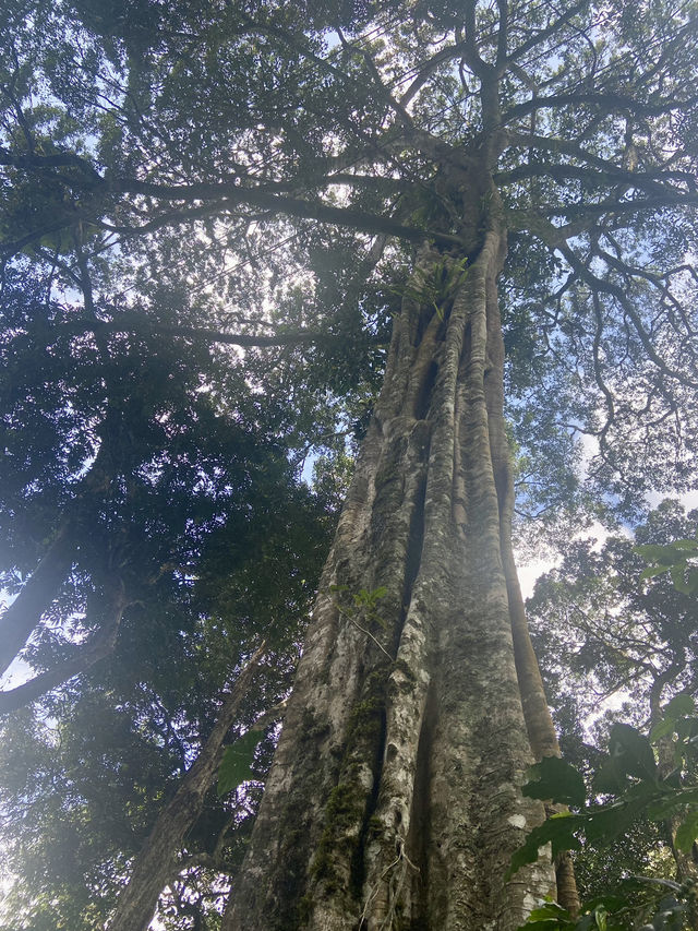 Chinnar Wildlife Sanctuary 