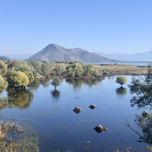 Lake Skadar, have you been there?