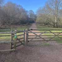 Hike to Kinver Edge