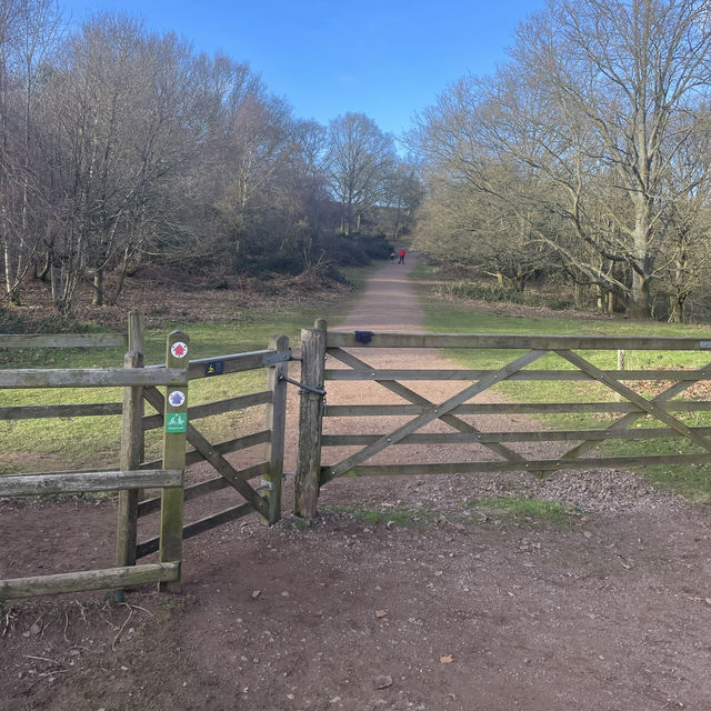 Hike to Kinver Edge
