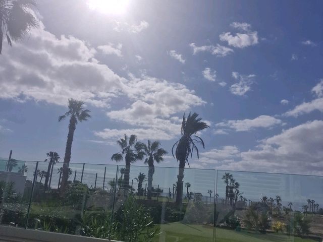 Day Trip Itinerary for Tenerife Island