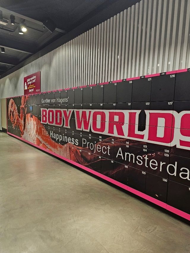 Exploring the Human Body at Body Worlds Amsterdam